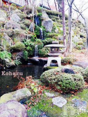 長岡デリヘル 長岡風俗出張アロママッサージ(ナガオカフウゾクシュッチョウアロママッサージ) 睾丸前立腺エステ☆こはる(32)の2月5日写メブログ「会えたら奇跡！？✨」