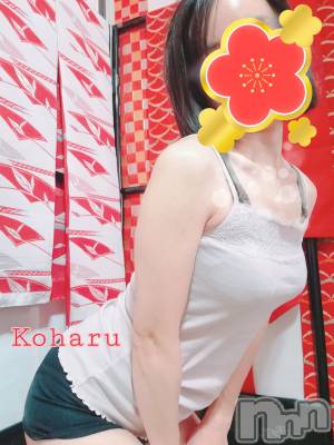 長岡デリヘル 長岡風俗出張アロママッサージ(ナガオカフウゾクシュッチョウアロママッサージ) 睾丸前立腺エステ☆こはる(33)の2月19日写メブログ「運命的な出会いにはタイミングが大事♪」