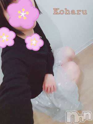 長岡デリヘル 長岡風俗出張アロママッサージ(ナガオカフウゾクシュッチョウアロママッサージ) 睾丸前立腺エステ☆こはる(33)の2月29日写メブログ「春の気配！？🌸」