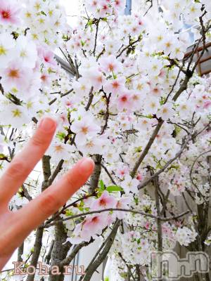 長岡デリヘル 長岡風俗出張アロママッサージ(ナガオカフウゾクシュッチョウアロママッサージ) 睾丸前立腺エステ☆こはる(33)の4月4日写メブログ「カラダを元気にしよう🤭💕」