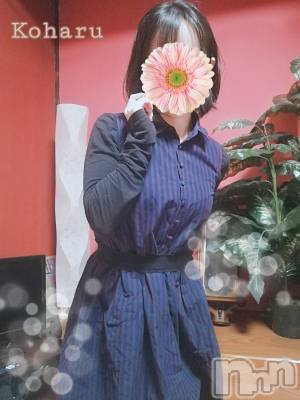 長岡デリヘル 長岡風俗出張アロママッサージ(ナガオカフウゾクシュッチョウアロママッサージ) 睾丸前立腺エステ☆こはる(32)の4月8日写メブログ「もう体験した！？🤭💕」