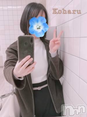 長岡デリヘル 長岡風俗出張アロママッサージ(ナガオカフウゾクシュッチョウアロママッサージ) 睾丸前立腺エステ☆こはる(32)の4月9日写メブログ「春の雨🌸」