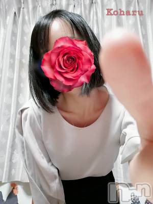 長岡デリヘル 長岡風俗出張アロママッサージ(ナガオカフウゾクシュッチョウアロママッサージ) 睾丸前立腺エステ☆こはる(33)の5月16日写メブログ「ツンツン👈😁💕」