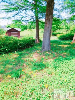 長岡デリヘル 長岡風俗出張アロママッサージ(ナガオカフウゾクシュッチョウアロママッサージ) 睾丸前立腺エステ☆こはる(32)の6月25日写メブログ「木陰のような🍀」