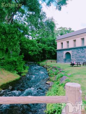 長岡デリヘル 長岡風俗出張アロママッサージ(ナガオカフウゾクシュッチョウアロママッサージ) 睾丸前立腺エステ☆こはる(33)の8月12日写メブログ「木陰があって貴方がいれば楽園🏖️」