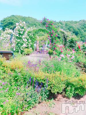 長岡デリヘル 長岡風俗出張アロママッサージ(ナガオカフウゾクシュッチョウアロママッサージ) 睾丸前立腺エステ☆こはる(33)の9月3日写メブログ「青空と花と貴方と🌹」