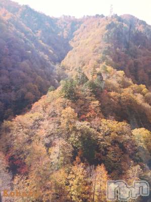 長岡デリヘル 長岡風俗出張アロママッサージ(ナガオカフウゾクシュッチョウアロママッサージ) 睾丸前立腺エステ☆こはる(32)の11月7日写メブログ「やっぱり写真より実物🥰」