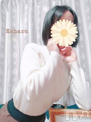 長岡デリヘル 長岡風俗出張アロママッサージ(ナガオカフウゾクシュッチョウアロママッサージ) 睾丸前立腺エステ☆こはる(33)の12月13日写メブログ「意外ときちんとしてます✨」