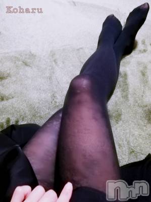 長岡デリヘル 長岡風俗出張アロママッサージ(ナガオカフウゾクシュッチョウアロママッサージ) 睾丸前立腺エステ☆こはる(32)の2月17日写メブログ「脚フェチの人います？？🤔」