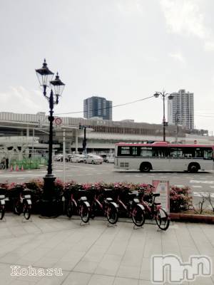 長岡デリヘル 長岡風俗出張アロママッサージ(ナガオカフウゾクシュッチョウアロママッサージ) 睾丸前立腺エステ☆こはる(33)の3月13日写メブログ「どこでしょう？🤔」