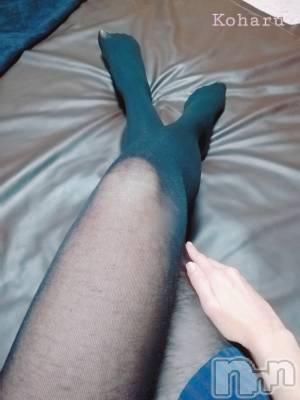 長岡デリヘル 長岡風俗出張アロママッサージ(ナガオカフウゾクシュッチョウアロママッサージ) 睾丸前立腺エステ☆こはる(33)の3月14日写メブログ「黒タイツってなんかエロい💕」