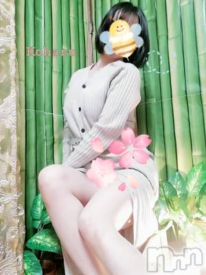長岡デリヘル 長岡風俗出張アロママッサージ(ナガオカフウゾクシュッチョウアロママッサージ) 睾丸前立腺エステ☆こはる(32)の4月4日写メブログ「エロで貴方の力に💪」