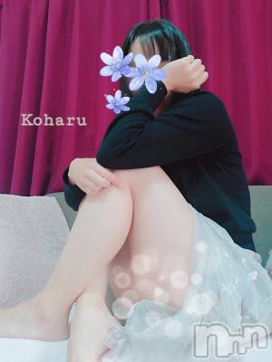 長岡デリヘル 長岡風俗出張アロママッサージ(ナガオカフウゾクシュッチョウアロママッサージ) 睾丸前立腺エステ☆こはる(32)の4月7日写メブログ「「こはるさんっていつお店にいるの？🤷‍♂️」」