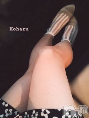 長岡デリヘル 長岡風俗出張アロママッサージ(ナガオカフウゾクシュッチョウアロママッサージ) 睾丸前立腺エステ☆こはる(32)の6月10日写メブログ「貴方の性活のために🥰」