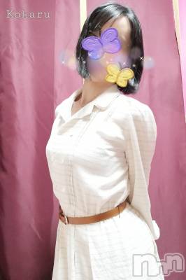 長岡デリヘル 長岡風俗出張アロママッサージ(ナガオカフウゾクシュッチョウアロママッサージ) 睾丸前立腺エステ☆こはる(33)の11月14日写メブログ「エロいマッサージ…好きでしょ？🥰」