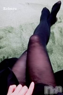 長岡デリヘル 長岡風俗出張アロママッサージ(ナガオカフウゾクシュッチョウアロママッサージ) 睾丸前立腺エステ☆こはる(33)の1月29日写メブログ「睾丸と前立腺の同時施術😏」