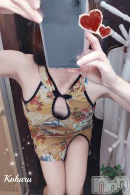 長岡デリヘル 長岡風俗出張アロママッサージ(ナガオカフウゾクシュッチョウアロママッサージ) 睾丸前立腺エステ☆こはる(33)の4月2日写メブログ「こはるも楽しんでますよ♪」