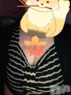 新潟人妻デリヘル 熟女の風俗 最終章(ジュクジョノフウゾクサイシュウショウ) かこ(49)の9月7日写メブログ「残、残暑お見舞い申し上げます⭐」