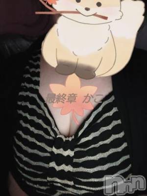 新潟人妻デリヘル 熟女の風俗 最終章(ジュクジョノフウゾクサイシュウショウ) かこ(49)の10月11日写メブログ「お早うございます。」
