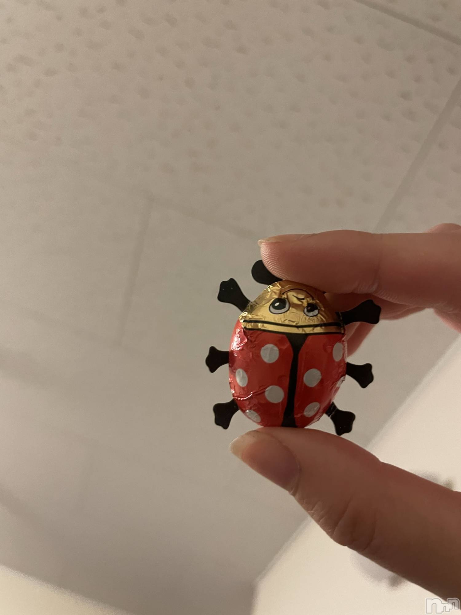 Įʥå륺СL'asile(饸) 2023ǯ421̥֥🐞💗