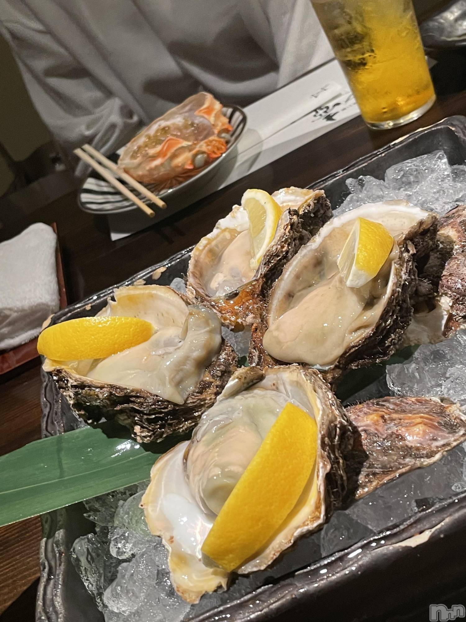 Įʥå륺СL'asile(饸) 2023ǯ105̥֥🦪🤍