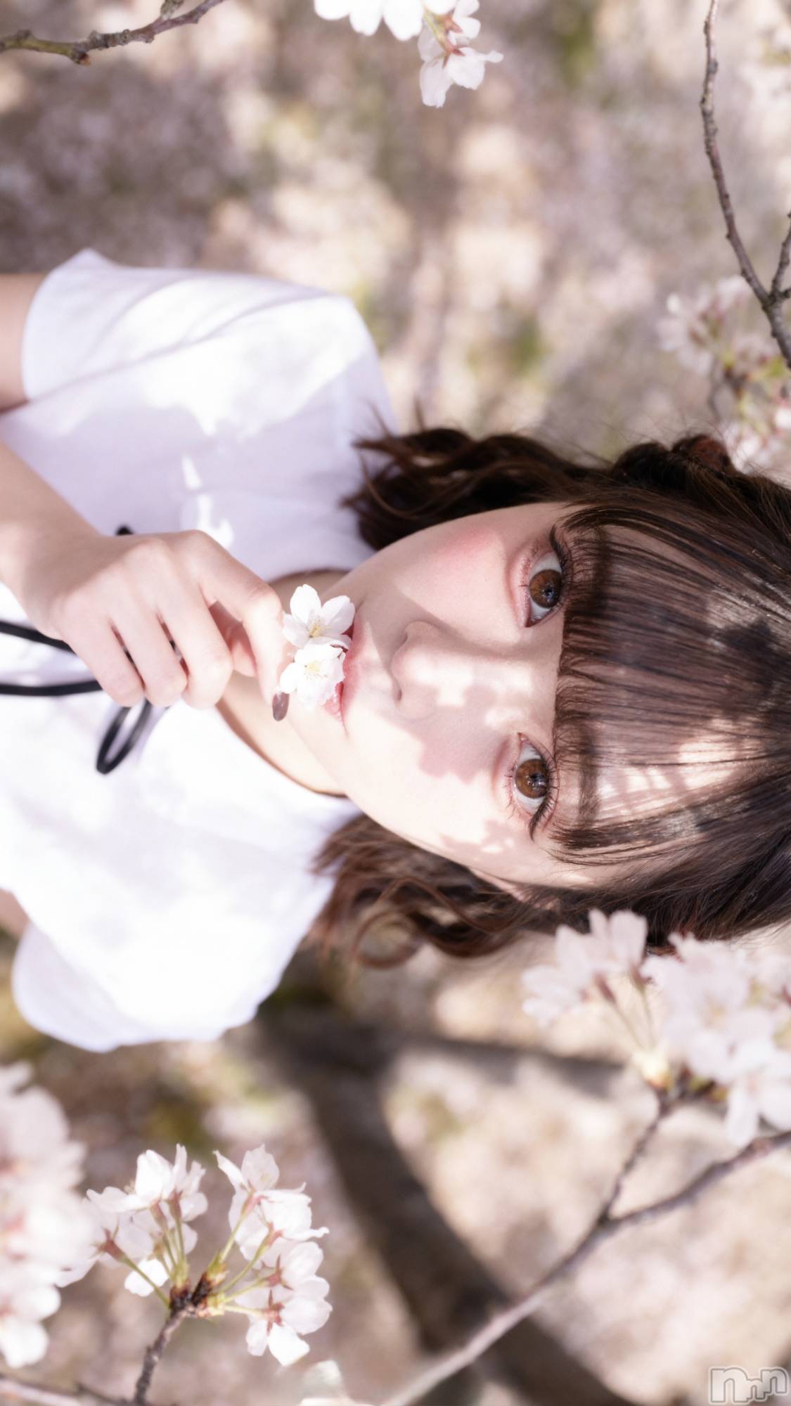 �����������Х��顦�����Club Ludan(����֥����) ��2026ǯ4��1���̥�֥�������ɸ🌸��