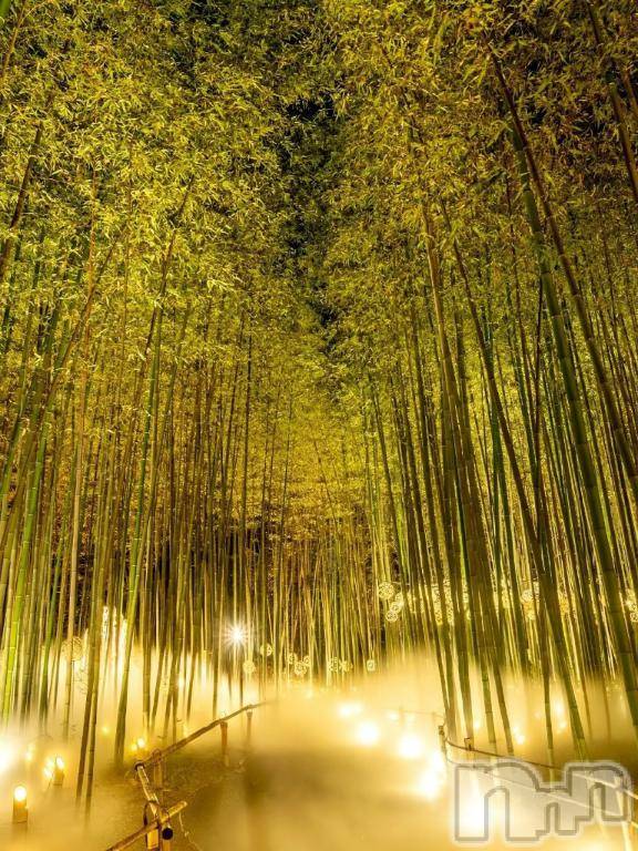 佐久発デリヘル佐久上田人妻隊(サクウエダヒトヅマタイ)まひろ(41)の2026年2月20日写メブログ「     🌸(⁠๑⁠•⁠﹏⁠•⁠)」