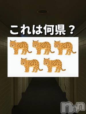 佐久発デリヘル 佐久上田人妻隊(サクウエダヒトヅマタイ) まひろ(41)の12月19日写メブログ「     ✔✔✔」