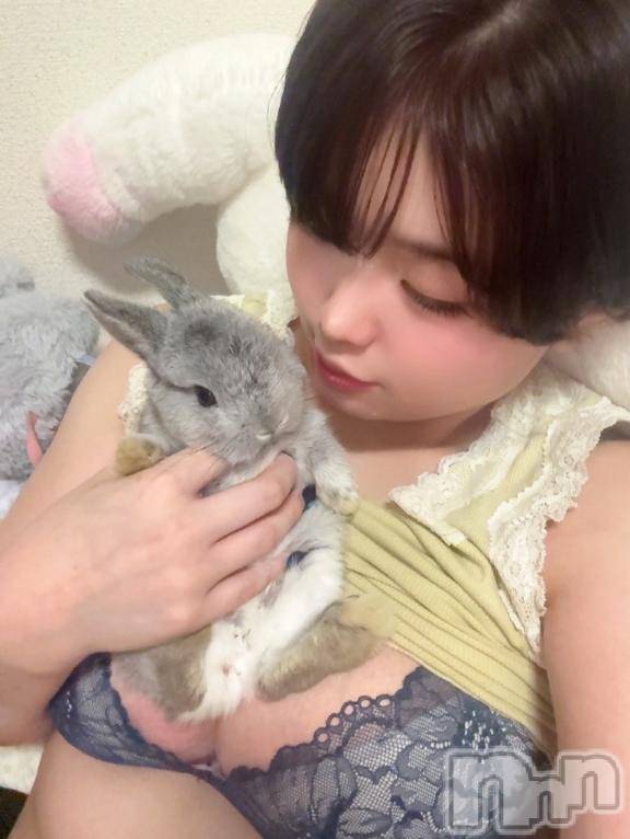 長岡デリヘルROOKIE(ルーキー)めい☆プラチナ(21)の2026年7月4日写メブログ「来週♡」