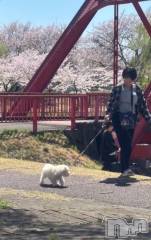 長岡デリヘルROOKIE(ルーキー) めい☆プラチナ(21)の6月26日写メブログ「カラスの声で起きたよ😌」