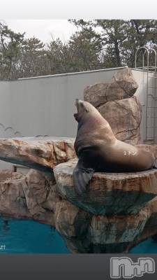 長岡デリヘル ROOKIE(ルーキー) めい☆プラチナ(21)の2月3日写メブログ「わくわく♪」