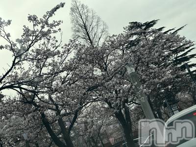 襳ѥ˥󥯥֥ѥ˥󥯥  IKI (ѥ˥󥯥֥) ޥ(29)331ֲ̥֥ڶ🫶
