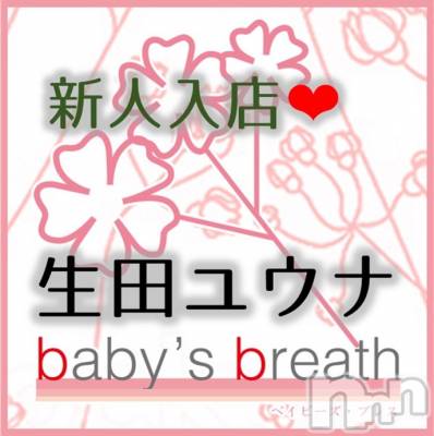󥺥baby's breath(٥ӡ ֥쥹) ĥ楦(27)36̥֥֤ꤤޤ