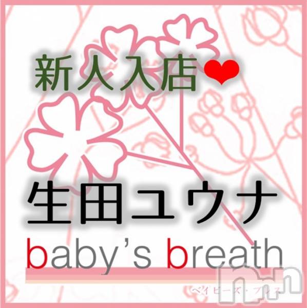 󥺥baby's breath(٥ӡ ֥쥹) ĥ楦ʤ36̥֥֤ꤤޤ
