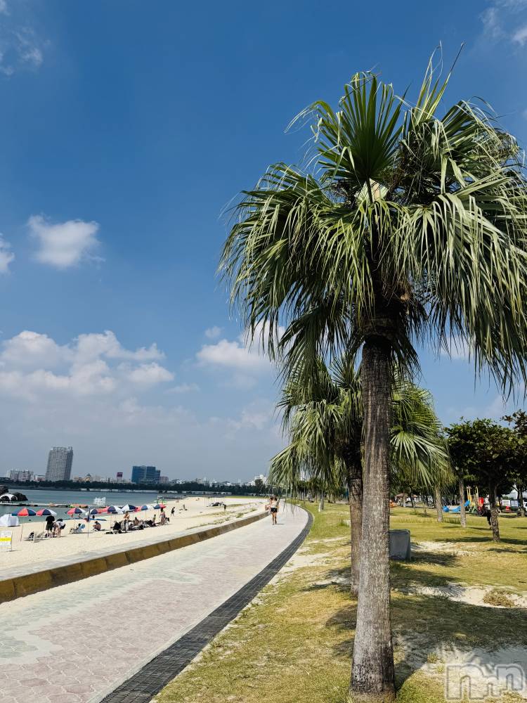 �����������Х��顦�����LYNX(��󥯥�) �ϡ�����12��30���̥�֥����ֻŻ�Ǽ��🫰🏻��