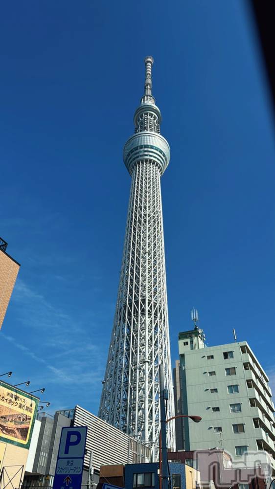 �����������Х��顦�����LYNX(��󥯥�) �ϡ�����2��3���̥�֥�����🍫💭��