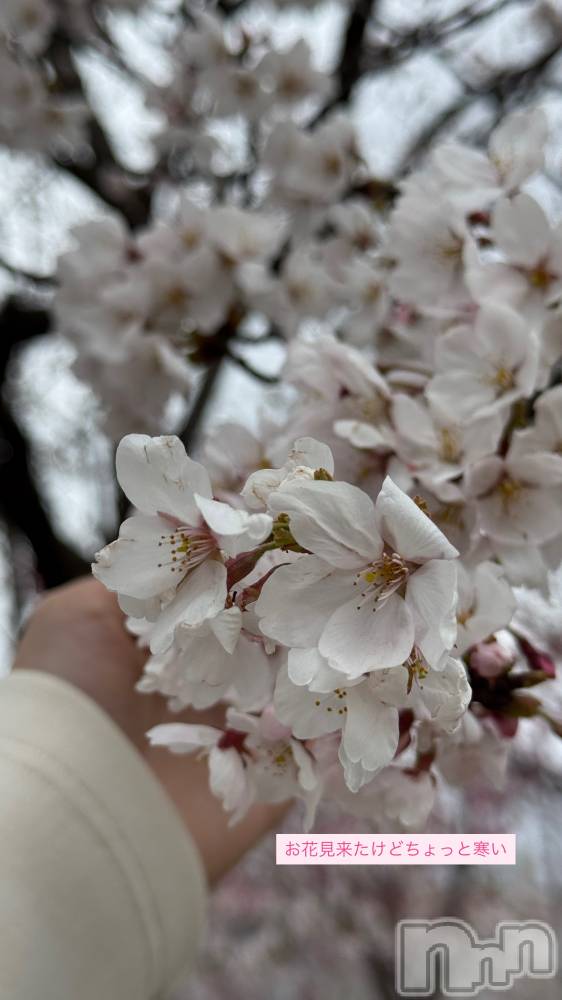 �����������Х��顦�����LYNX(��󥯥�) �ϡ�����4��4���̥�֥����֤�����Ҥ�Ҥ����