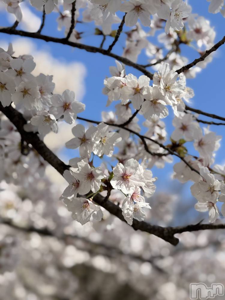 �����������Х��顦�����LYNX(��󥯥�) �ϡ�����4��7���̥�֥����ּ�̿��