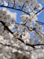 �����������Х��顦�����LYNX(��󥯥�) �ϡ�����4��7���̥�֥����ּ�̿��