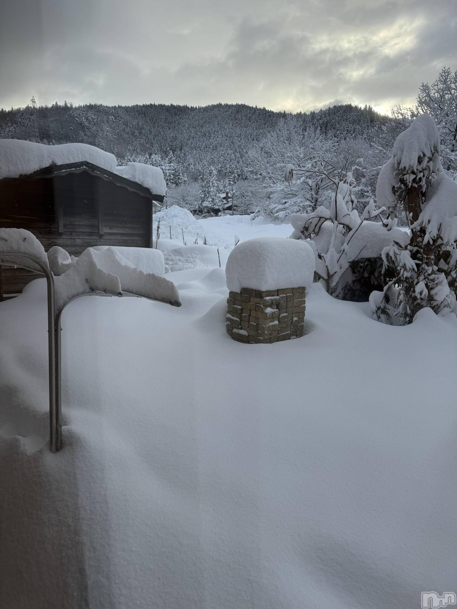 Х顦Lune LYNX(롼󥯥) 2025ǯ110̥֥⛄️❄️💙⛄️❄️💙⛄️❄️💙
