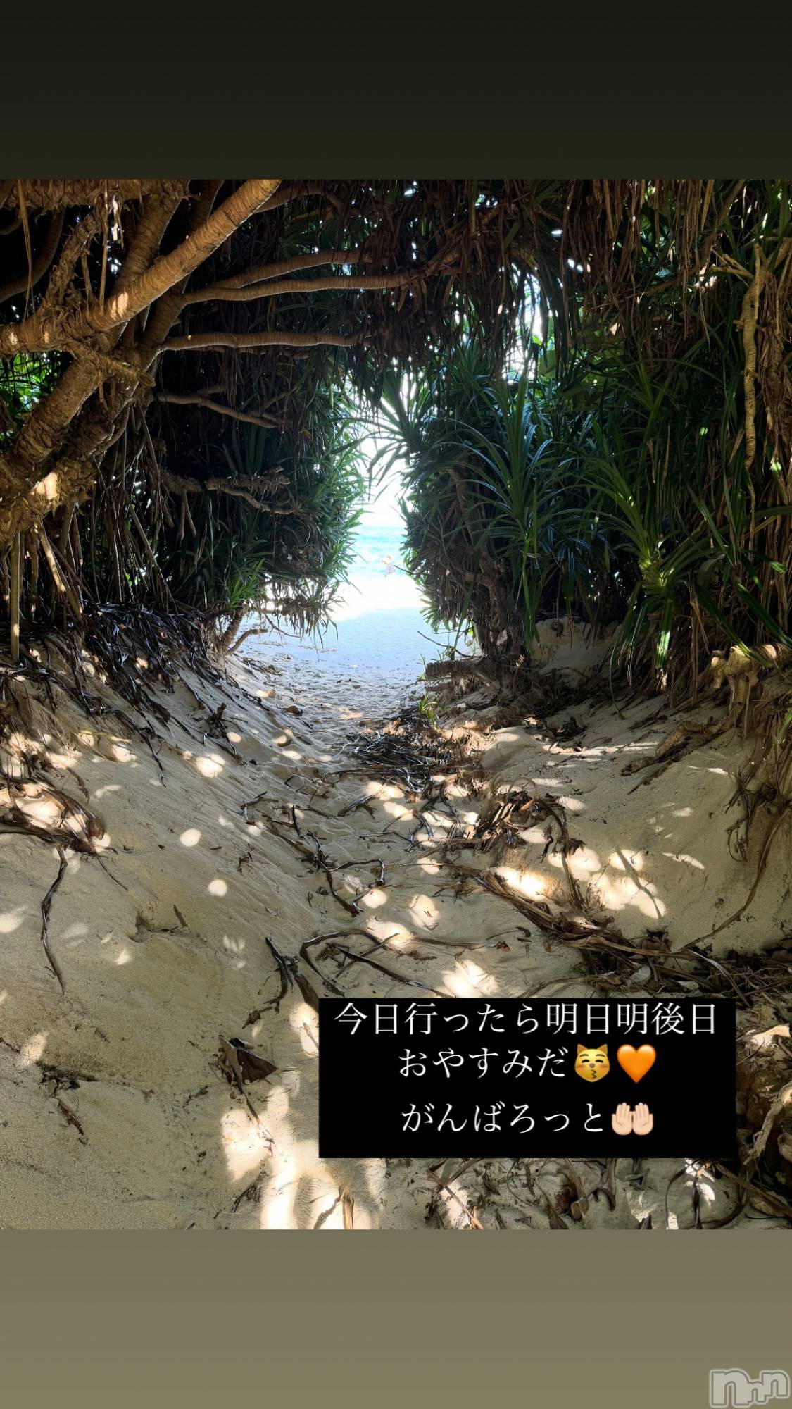 Х顦Lune LYNX(롼󥯥) 2025ǯ223̥֥䤹ߤǤ🫢