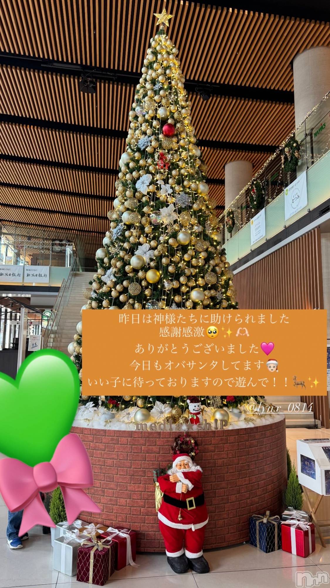 �����������Х��顦�����LYNX(��󥯥�) ��2025ǯ12��20���̥�֥����֥��󥿤������🎅🏻🎀��