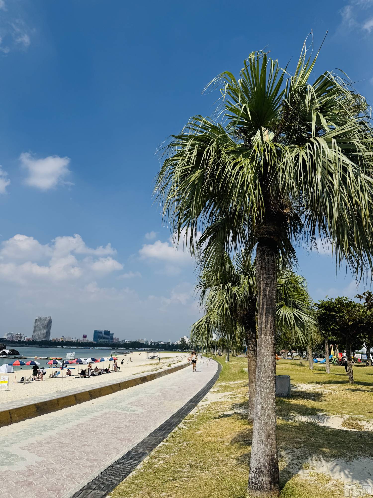 �����������Х��顦�����LYNX(��󥯥�) ��2025ǯ12��30���̥�֥����ֻŻ�Ǽ��🫰🏻��