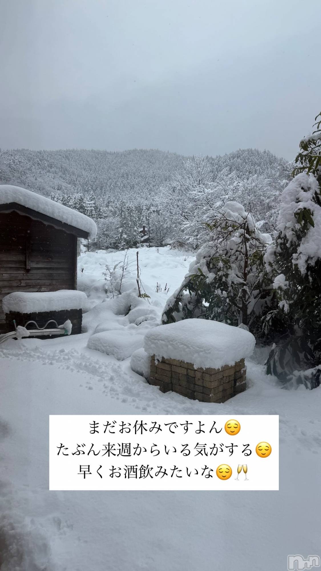 �����������Х��顦�����LYNX(��󥯥�) ��2026ǯ1��9���̥�֥����ֵٻ���😌��