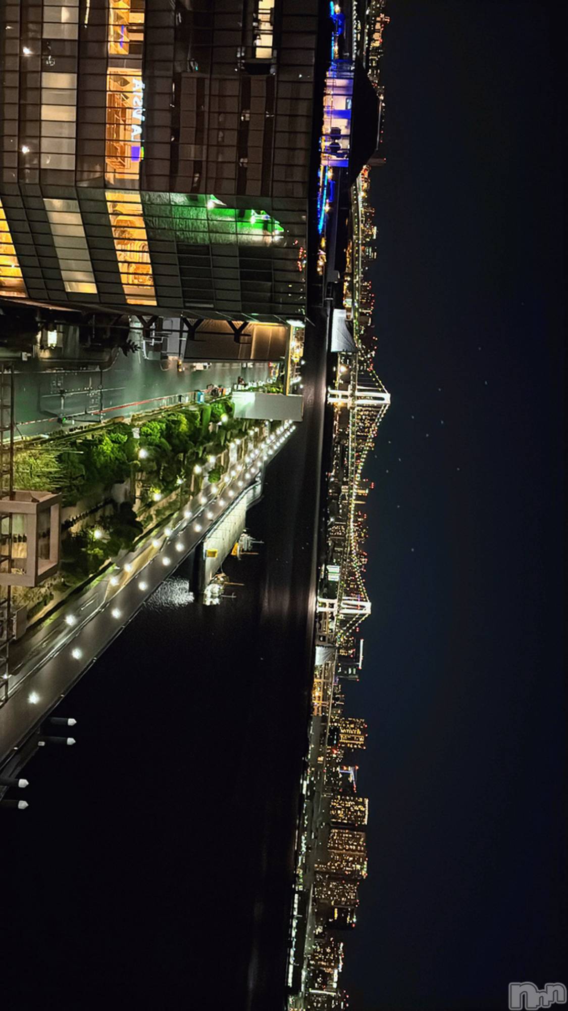 �����������Х��顦�����LYNX(��󥯥�) ��2026ǯ1��15���̥�֥����֎�:*+.(( ��ء� ))/.:+��