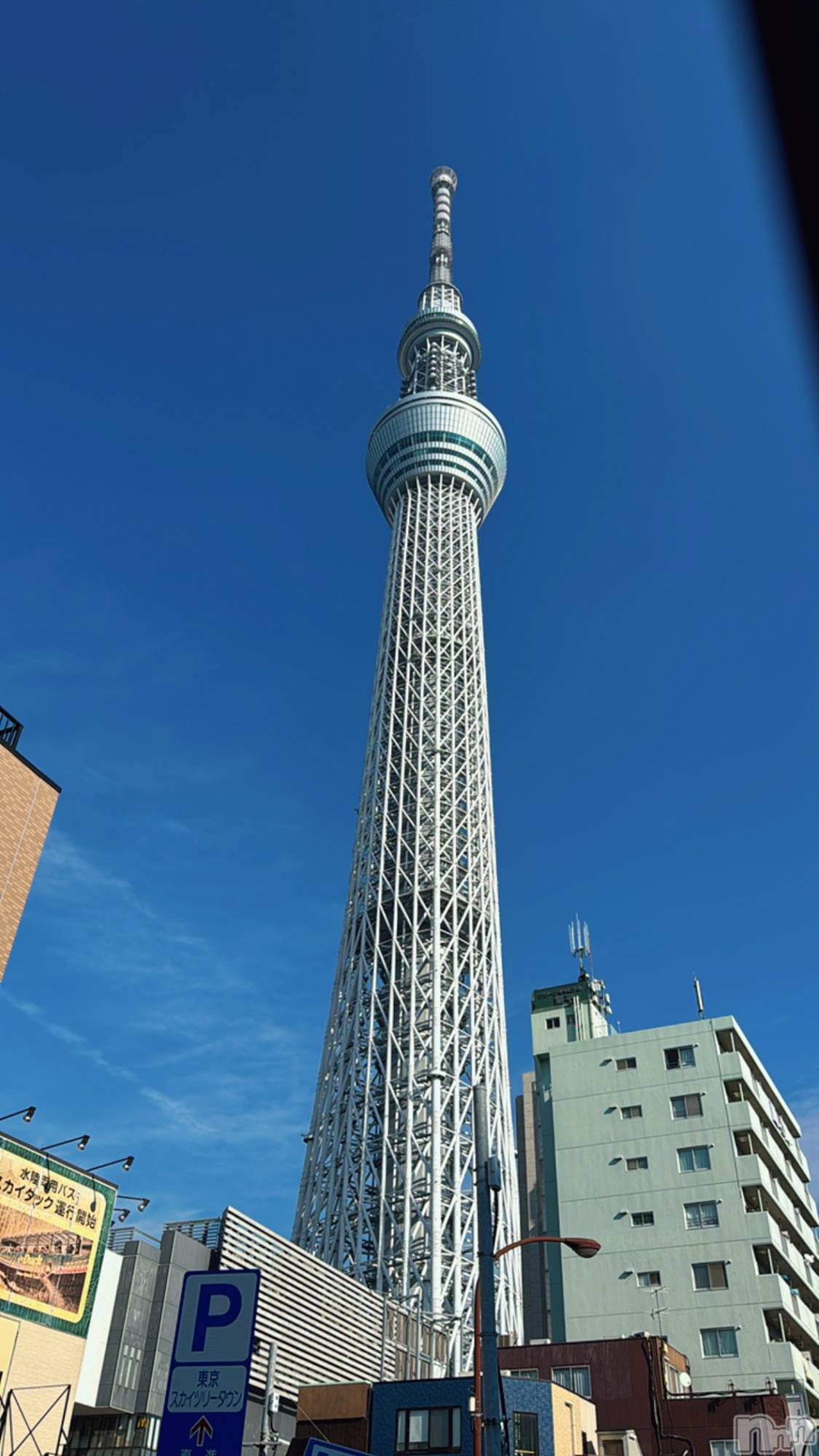 �����������Х��顦�����LYNX(��󥯥�) ��2026ǯ2��3���̥�֥�����🍫💭��