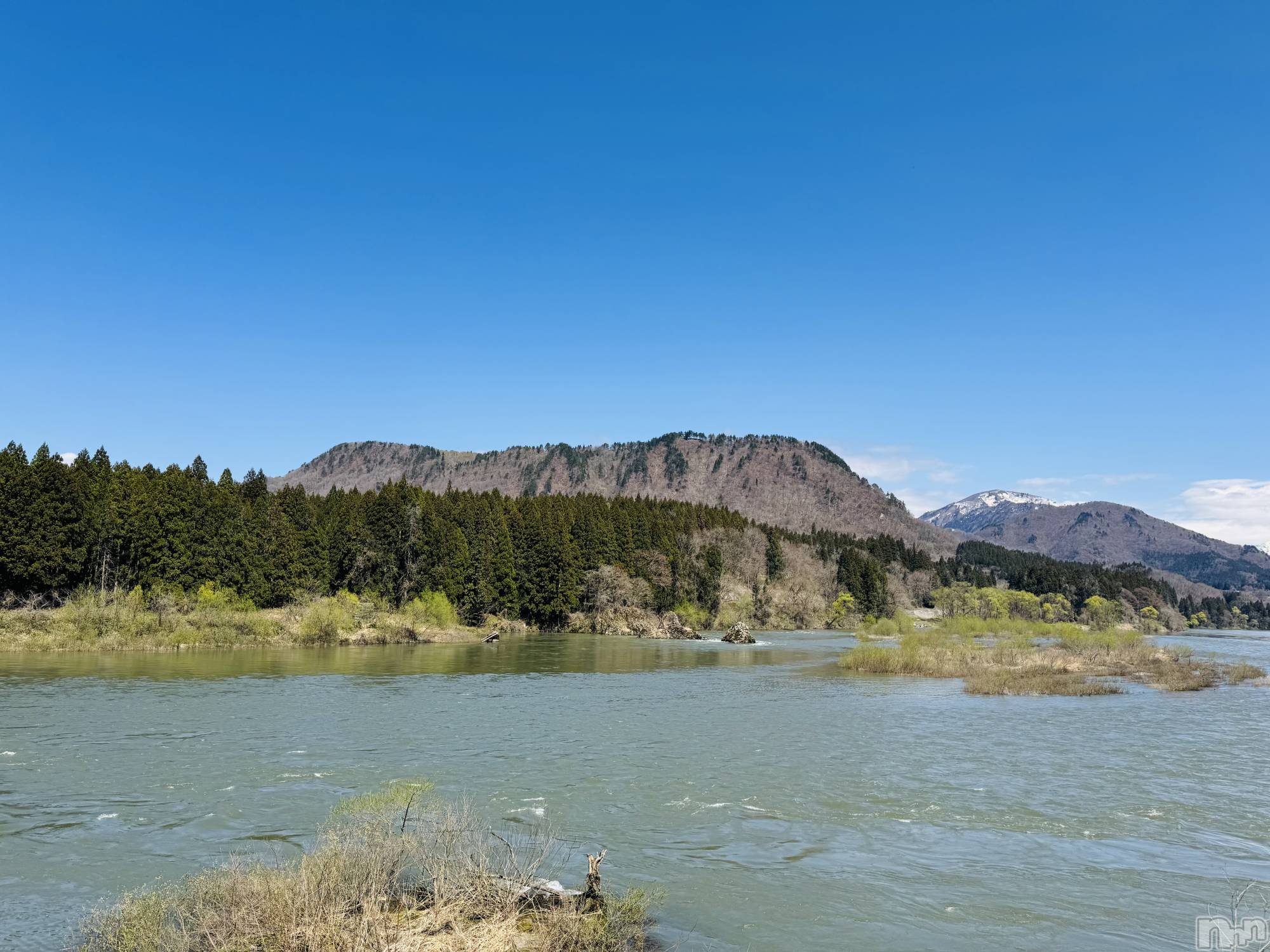 �����������Х��顦�����LYNX(��󥯥�) ��2026ǯ4��6���̥�֥��������������