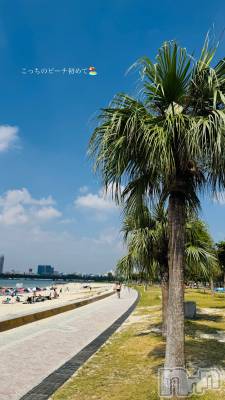 Х顦LYNX(󥯥) ϡ1014̥֥֤ɡ