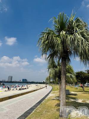 �����������Х��顦�����LYNX(��󥯥�) �ϡ�����12��30���̥�֥����ֻŻ�Ǽ��🫰🏻��