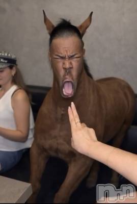 �����������Х��顦�����LYNX(��󥯥�) �ϡ�����3��27���̥�֥����֤����á�